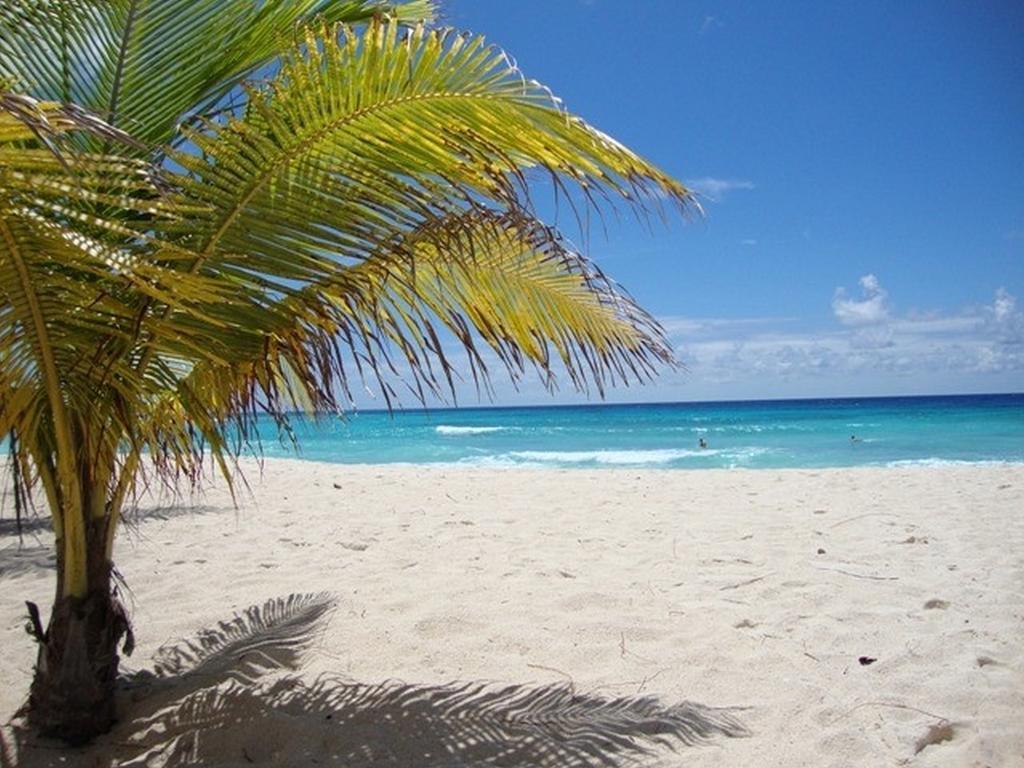 Beach Guest House Cleverdale Bridgetown Kamer foto